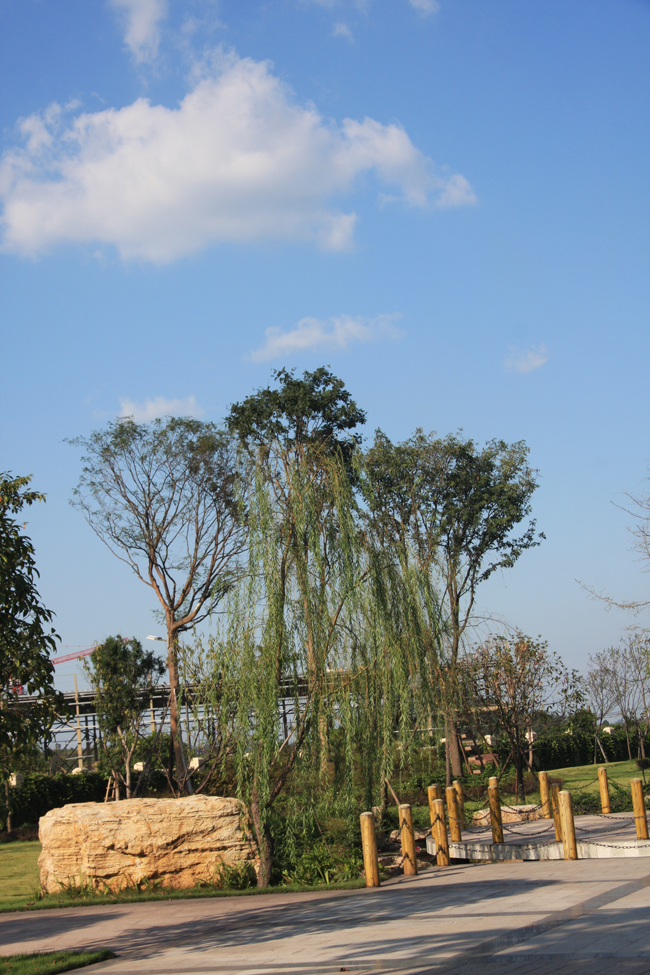 918������(�й���)�ٷ���վ